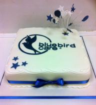 Bluebird Care (118)