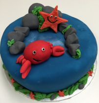 Rock Pool Cake Class for Children