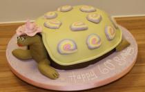 Tortoise Cake (356)
