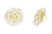 Ivory Sugar Roses 50mm.  Pack of 10