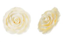 Ivory Sugar Roses 70mm. Pack of 6