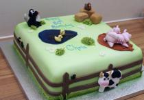 Farm Cake (421)
