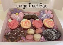 Large Treat Box (9144)