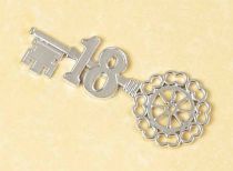 Plastic Silver Key '18'
