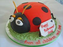 Ladybird Cake (440)