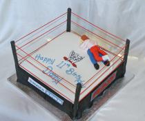 Wrestling Cake (499)