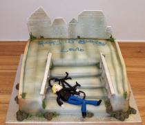 BMX cake (505)