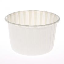 Ivory Baking Cups