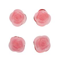 Pink Jelly Roses