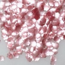 Rainbow Dust Edible Glitter Pink Daisies