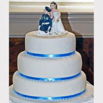Simple Blue Cake (089)