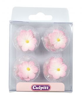 Daisies Sugar Pipings 