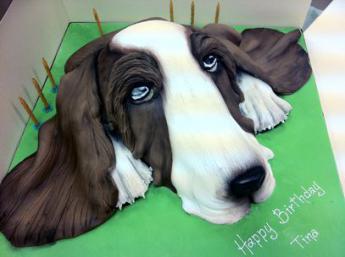 Bassett Hound Head (552)