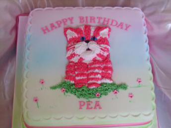 Bagpuss Birthday Cake (215)