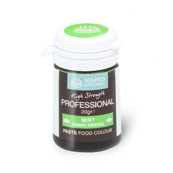 Squires Kitchen Paste Colour - Mint 20g